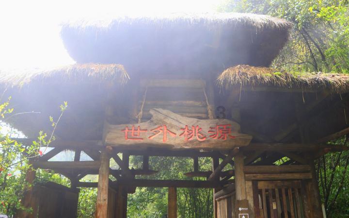 燃烧吧大脑装瓶子游戏